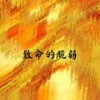 嫉妒 - 幻境音乐厂