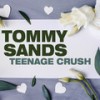 Riny My Phone - Tommy Sands