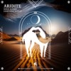 Aridite (Sebas Ramos Version) - Sebas Ramos&Lightning Effect&Cafe De Anatolia