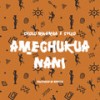 Amechukua Nani - Sholo Mwamba&Stizo