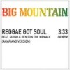 Reggae Got Soul (Amapiano Version) [feat. Quino & Beniton the Menace] - Big Mountain&Quino&Beniton the Menace