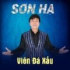 Bỏ Hiếu - Sơn Hạ