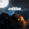 Cheekhe (Explicit) - SAMEER ATEEQ