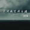 人间疾苦我自渡 (伴奏) - 刘纯