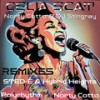 Celia Scat (Sted-E & Hybrid Heights Radio Edit) - Norty Cotto&DJ Stingray&Sted-E & Hybrid Heights&2024 Norty Cotto&2024 Ray Sabater Jr