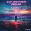 I can't live without your Love (Dance Radio Edit) - Pete Rivera