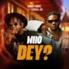 Who Dey (Explicit) - Ranny Praps&Lyrical Joe