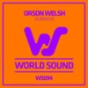 Dubwise - Orson Welsh