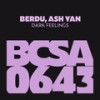 Dark Feelings - Berdu&Ash Yan