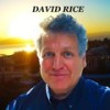 Fools Like Me - David Rice