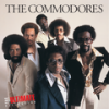 Zoom - Commodores