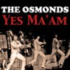 Gonna Be a Heartache Tonight - The Osmonds