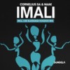 Imali (Cee ElAssaad Voodoo Mix) - Cornelius SA&Naak