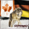 Sookie Sookie (Live) - Steppenwolf