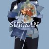 Where have you gone (DJ Zulan Radio Edit) - Surisan