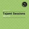 Lake St. Clair (Original Mix) - Tojami Sessions