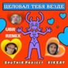 Целовал тебя везде (ubr remix) - Sputnik Project&Viksay