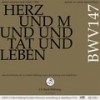 IV. Rezitativ (Bass) - Verstockung kann Gewaltige verblenden (Live) - Rudolf Lutz&Chor der J.S. Bach-Stiftung&Orchester der J.S. Bach-Stiftung&Wolf Matthias Friedrich