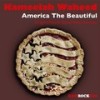 America the Beautiful (Without Guitar) - Kameelah Waheed