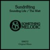 The Wait (Original Mix) - Sundrifting