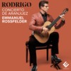 I. Allegro con spirito - Emmanuel Rossfelder&Arie Van Beek&Orchestre d'Auvergne