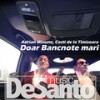 Doar bancnote mari - Adrian Minune&Costi De La Timisoara