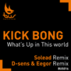 What's Up In This World (Solead Remix) - Kick Bong&Solead