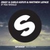 If You Would (Radio Mix) - Ziggy&Carlo Astuti&Matthew LeFace