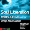 Soul Liberation(feat. Onaje Allen Gumbs) (Deez Rhode 2 Freedom Instrumental Mix) - MSRS&Eman&Onaje Allen Gumbs