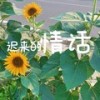 迟来的情话（原版） - 孙靓颖