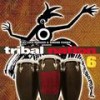 Tribal Express (Peruz Original Mix) - Little Exuma