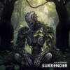 Surrender - AkaHendy