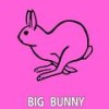 Guitar Jump (Original Mix) - Big Bunny