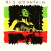 Blues Skies - Big Mountain