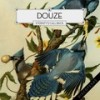 Forsaken (Publicist Remix) - Douze