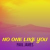 No One Like You - Paul James