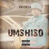 LiYoshona (Main Mix|Explicit) - Kwiish SA&Njelic&MalumNator&De Mthuda