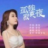 孤独寂寞夜（DJ彭锐版） - 音宝