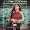 DJ MASHUP TIKTOK KANE KEREN ABIS - Arie Gogon&Dj Febrii Saragih