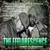 True Hip Hop Stories (Explicit) - DJ Stress&Rockoleone