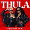 Thula - DJ Zinhle