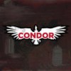 Begin Again - Condor