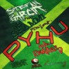 Pyhu(Put Your Hands Up) (Original Mix) - Stefan Garcia&Mr. Shammi