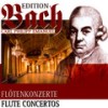 II. Adagio - Eckart Haupt&Burkhard Glaetzner&Carl Philipp Emanuel Bach Chamber Orchestra