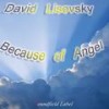 Because of Angel (Original Mix) - David Lisovsky