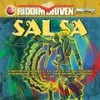 Salsa - Voicemail