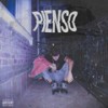 Pienso (Explicit) - L.P