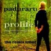 Prolife (Positive Proghouse Mix) - Paduraru