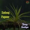 Palenggah Mato - Dessy Santhia