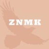 Cool Room (Original Mix) - ZNMK